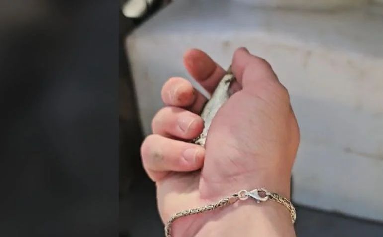 Jedan snimak koji je jučer osvanuo na društvenim mrežama, istovremeno izaziva osjećaj tuge i ponosa