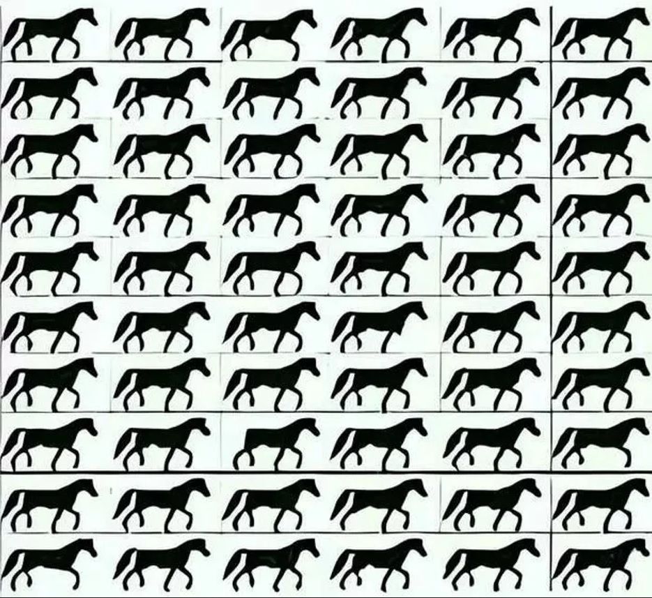 Možete li uočiti konja bez repa u ovoj lukavoj mozgalici?