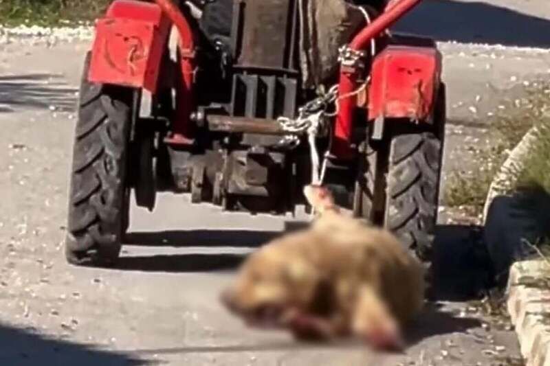 Kako saznajemo, osumnjičeni je uhapšen a o cijelom slučaju je obaviješten dežurni tužilac