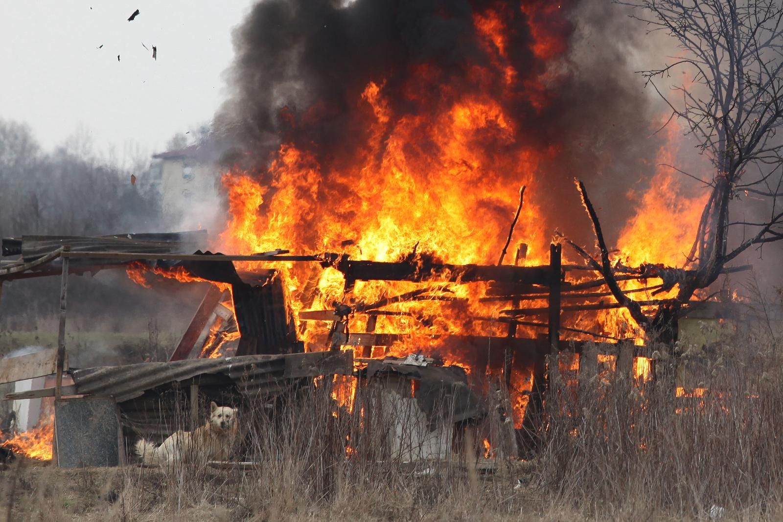 Mještani su uznemireni zbog ovog incidenta i strahuju da bi moglo doći do sličnih slučajeva u budućnosti.