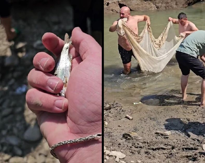 Dugotrajne suše, visoke temperature, ali i ljudski nemar prema prirodnim resursima, neki su od razloga koji su doprineli da dođe do tragedije kao što je ova.
