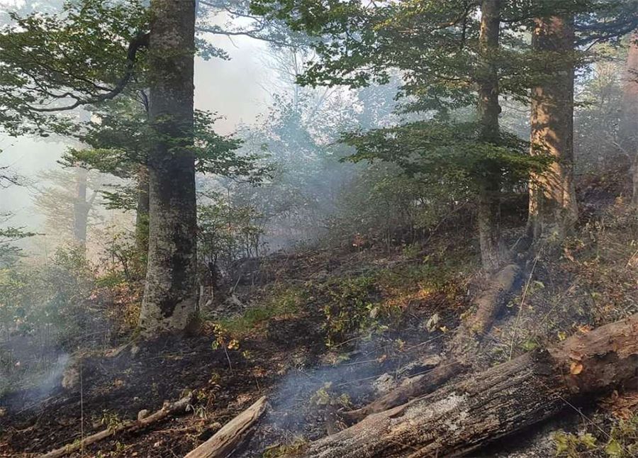 Vršilac dužnosti komandira Terirtorijalne vatrogasne jedinice Srebrenica Mujo Hasanović je kazao da je jučer devet vatrogasca bilo na terenu i tri vozila