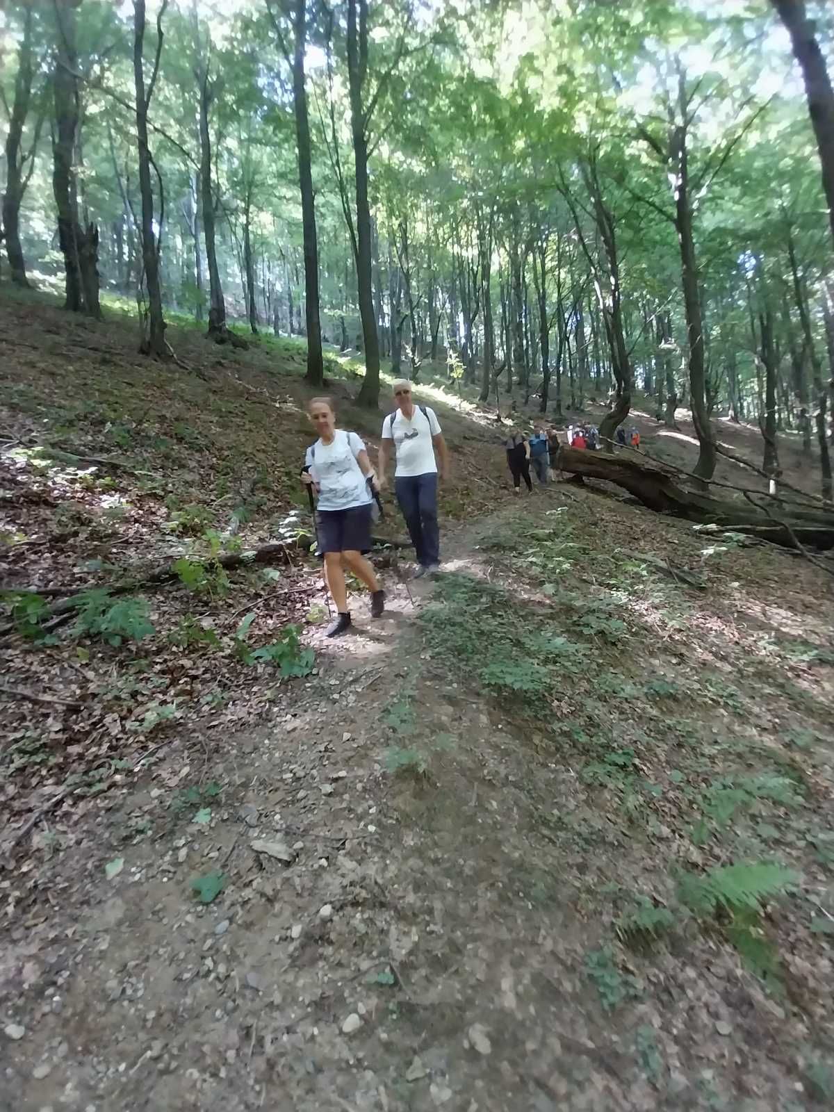 Zahvaljujući vrijednim članovima PSD Poštar-Zenica koji su nekoliko dana čistili stazu i odlično je pripremili za ovaj planinarski pohod staza je bila prohodna i bezbjedna.
