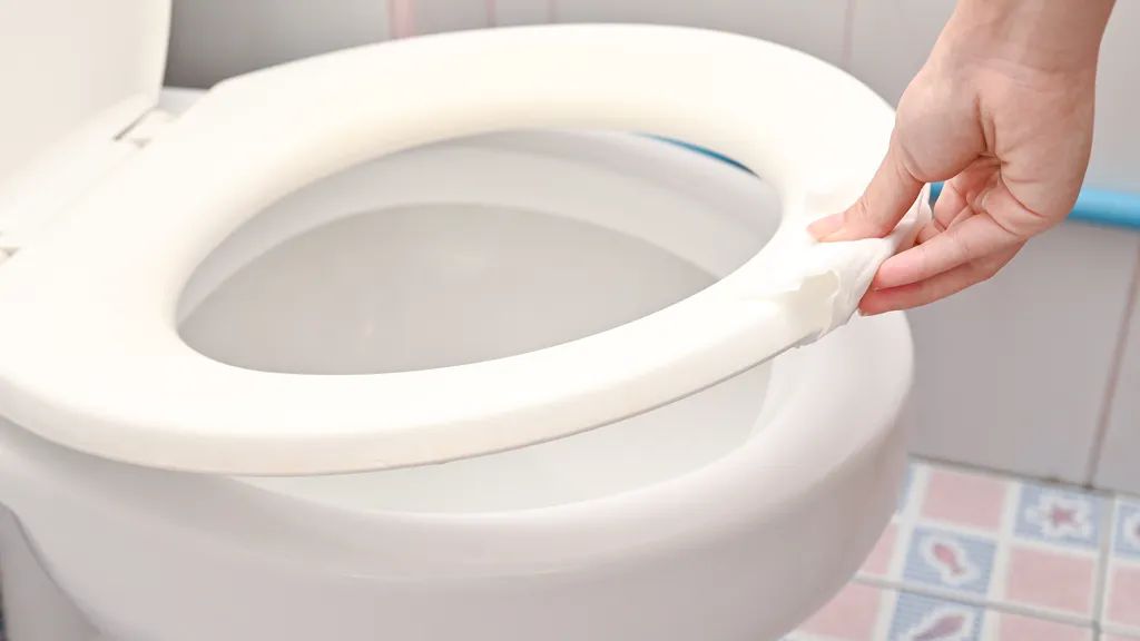 Da stvar bude gora, na podu, WC dasci, umivaoniku i drugim površinama ovi patogeni mogu preživjeti nekoliko mjeseci