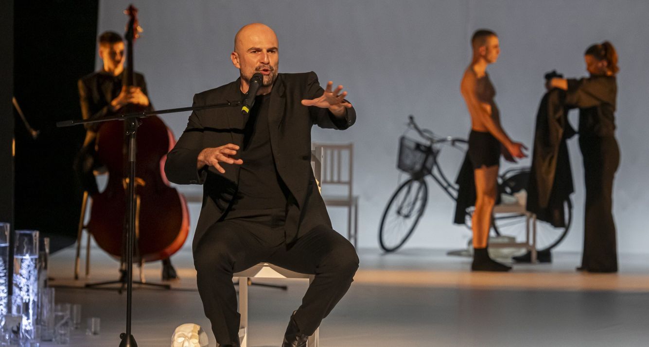 U predstavi igraju: Ermin Sijamija, Slaven Vidak, Vedrana Božinović, Sanela Krsmanović-Bistrivoda, Dino Bajrović i muzičar Rastko Zečević