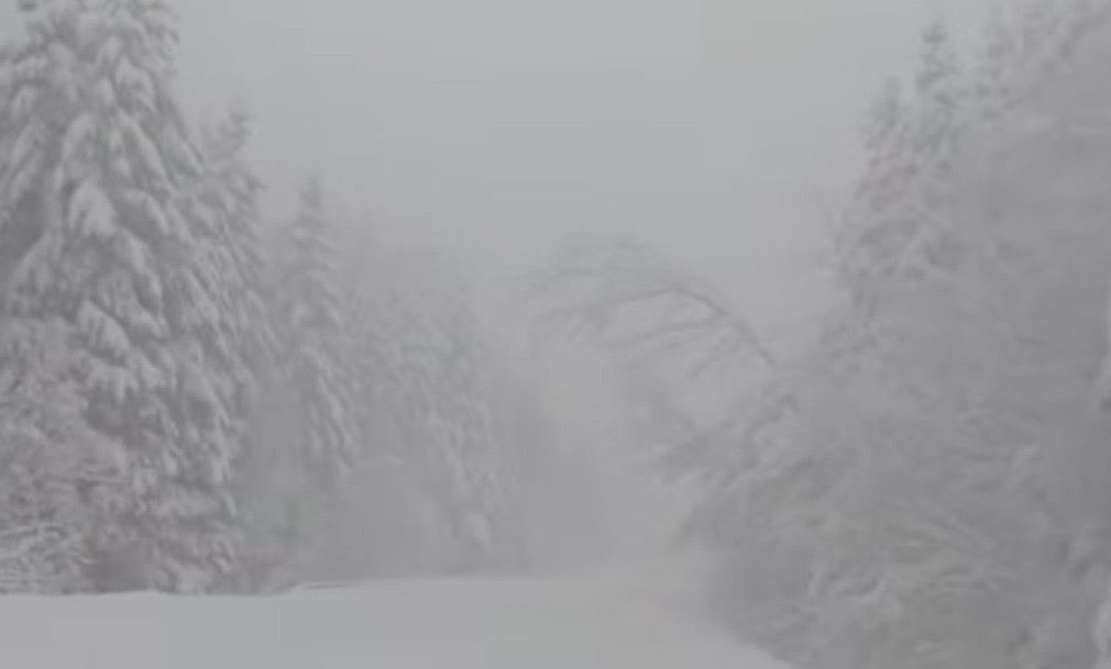 Iz Službe zaštite i spašavanja Glavnog grada apeliraju i danas na građane da što manje izlaze iz svojih domova dok traju jaki udari vjetra