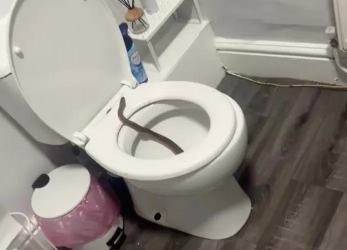 Ako želite biti sigurni da je vaš dom zaštićen, stručnjaci upozoravaju da postoji jedno mjesto koje biste trebali prvo provjeriti – podrum.
