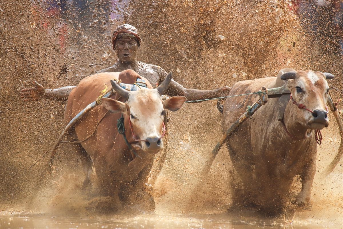 Ova tradicija duga skoro vijek, privlačna je i domaćim i stranim turistima