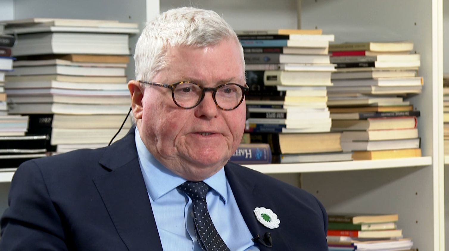 Secesionistički napori Milorada Dodika moraju biti odlučno blokirani, poručuje profesor Pettigrew