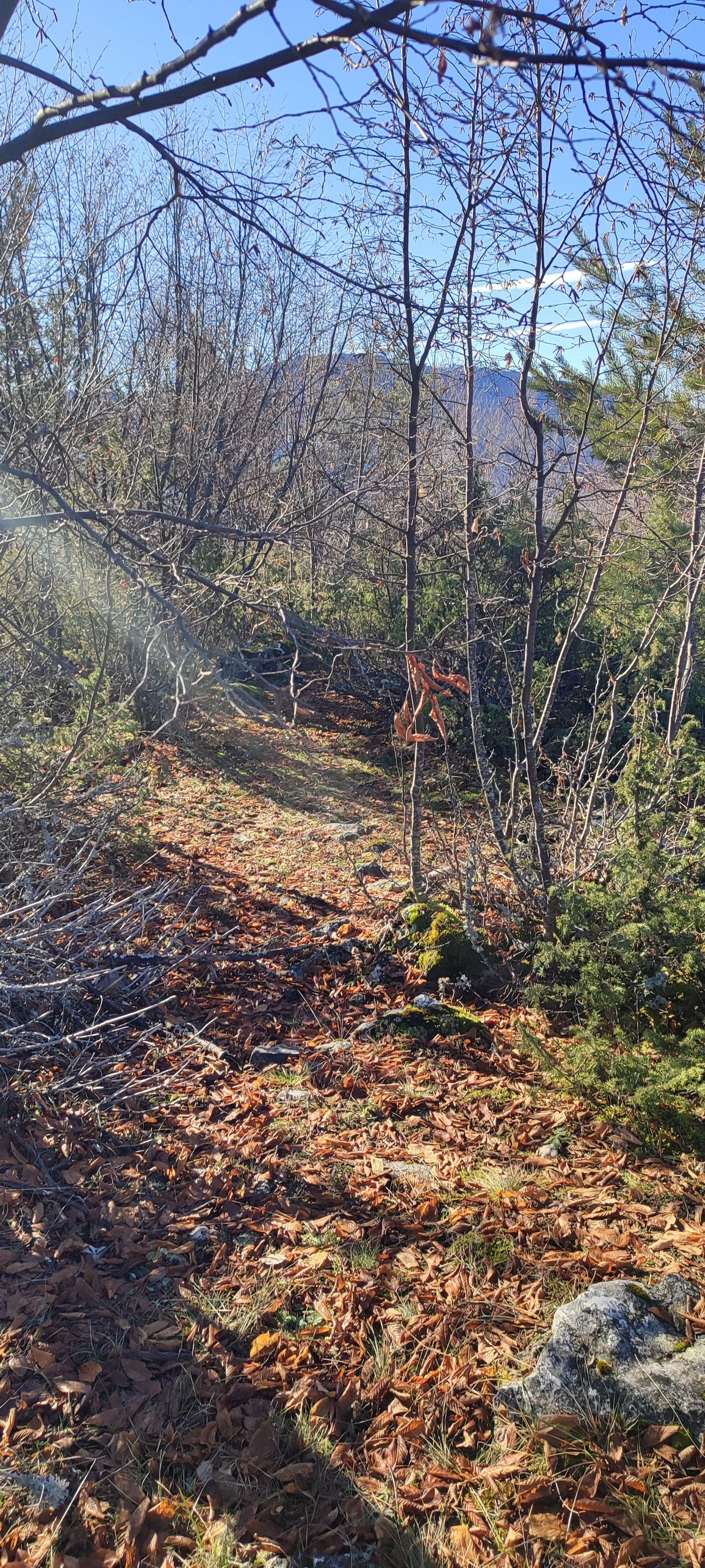Gradina “Grad” nije evidentirana u Arheološkom leksikonu BiH i do sada nije bila predmet arheoloških istraživanja