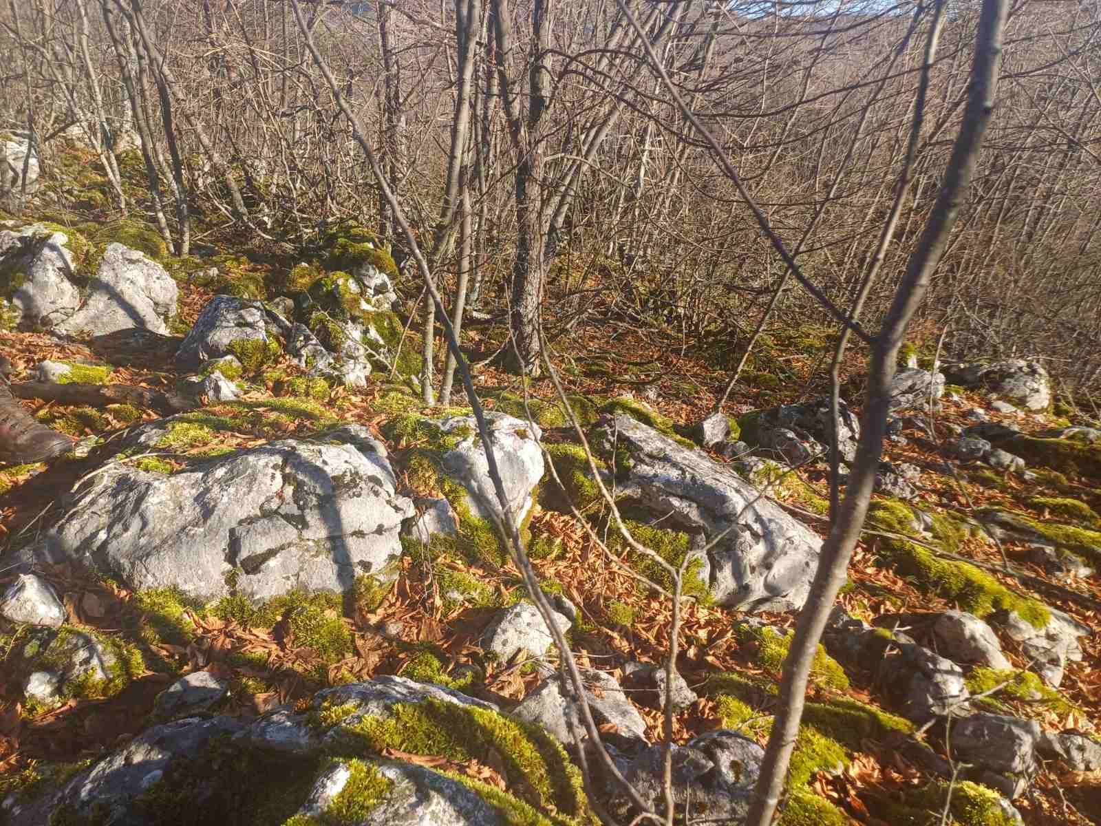 Gradina “Grad” nije evidentirana u Arheološkom leksikonu BiH i do sada nije bila predmet arheoloških istraživanja