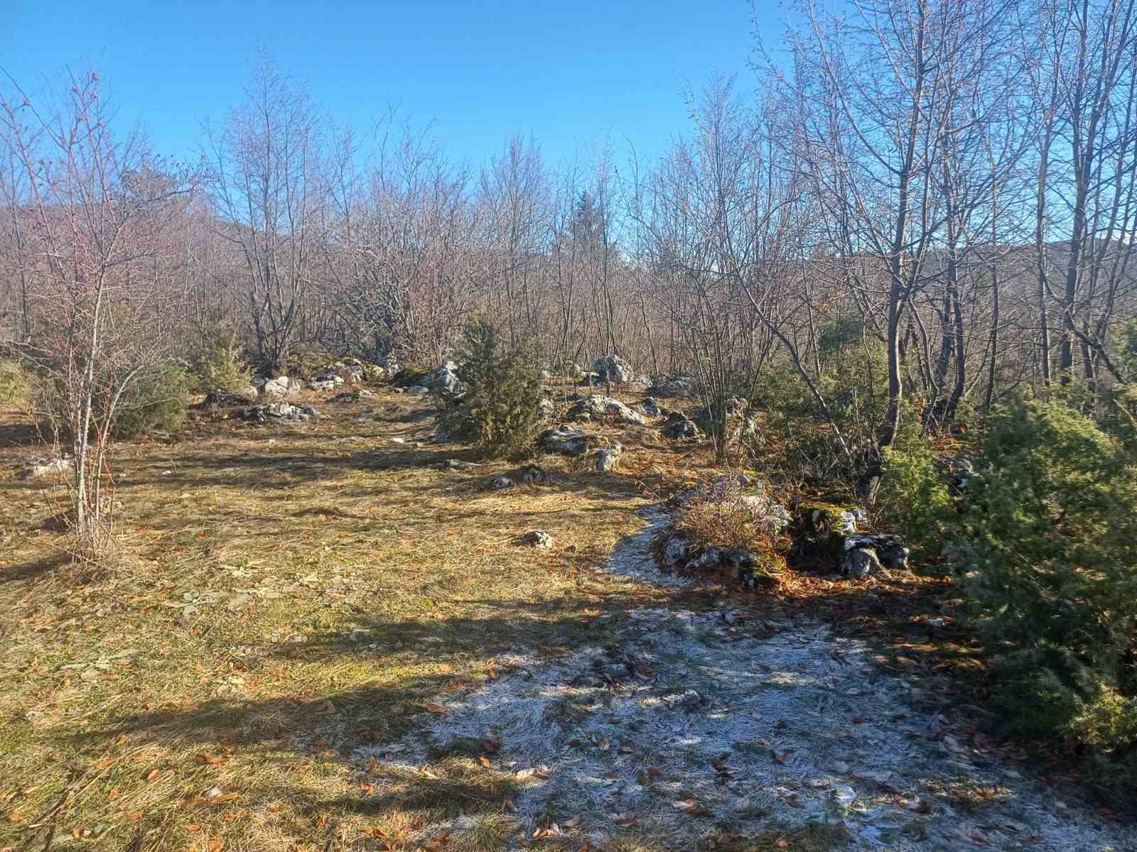 'Čuvari baštine – Bassania' otkrila gradinu oko Sarajeva koja svjedoči višestoljetno postojanje BiH