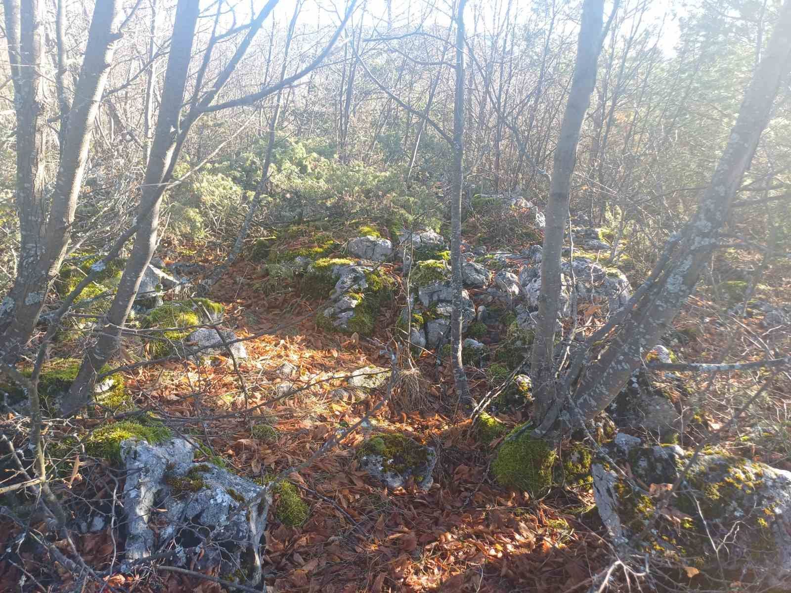 Gradina “Grad” nije evidentirana u Arheološkom leksikonu BiH i do sada nije bila predmet arheoloških istraživanja