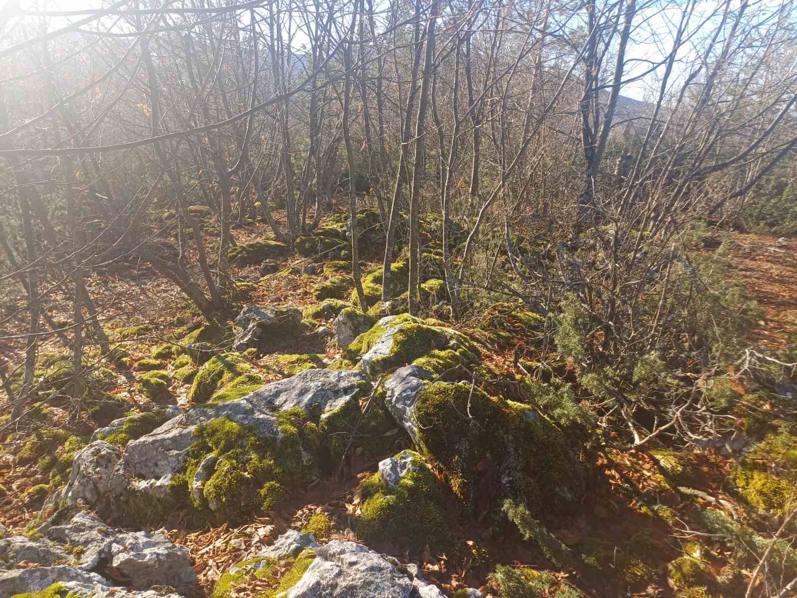 'Čuvari baštine – Bassania' otkrila gradinu oko Sarajeva koja svjedoči višestoljetno postojanje BiH