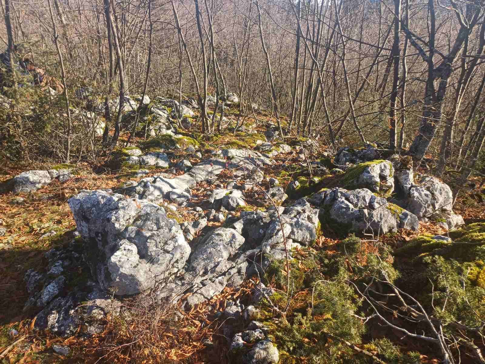 Gradina “Grad” nije evidentirana u Arheološkom leksikonu BiH i do sada nije bila predmet arheoloških istraživanja