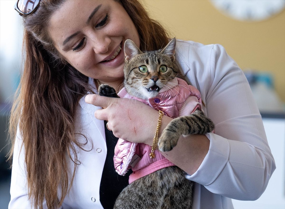 Umiljata i energična: Mačka s tri noge maskota trgovaca u Ankari