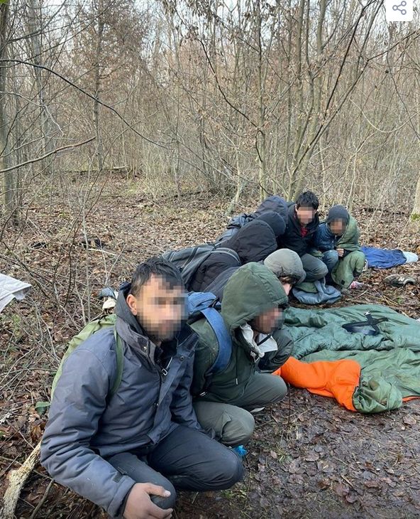 Raste broj migranata, ali i krijumčara: BiH se mora pripremati za nove udare na granicu