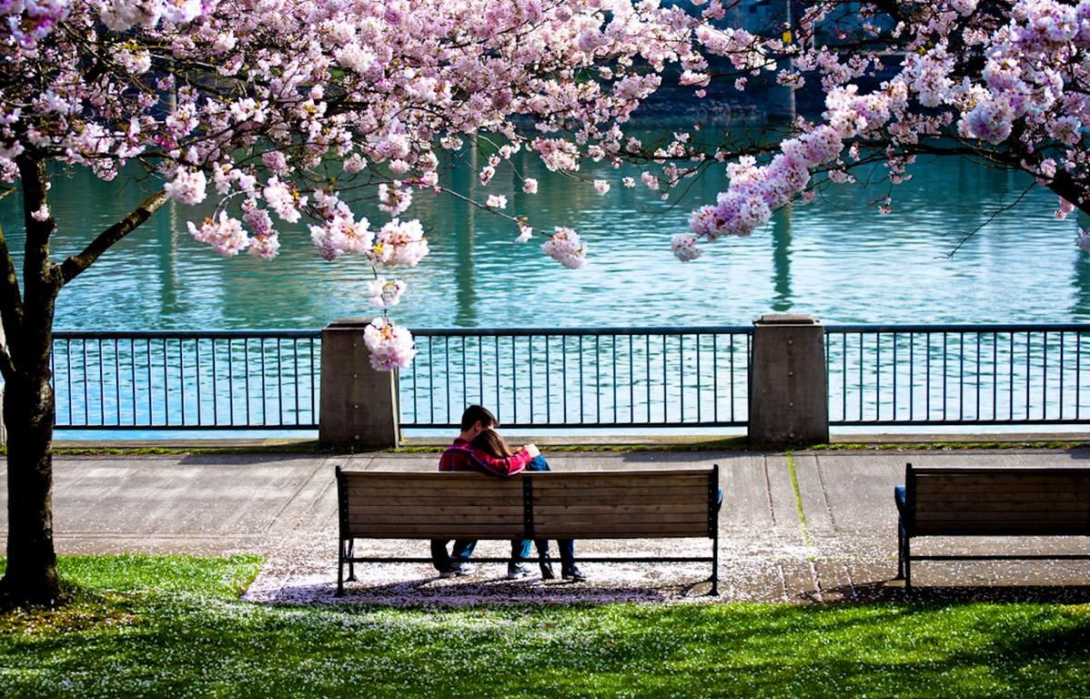 Sjeverna i dijelovi srednje Europe pokazuju više padavina u proljeće, što ukazuje na utjecaj zone niskog pritiska na sjeveru.