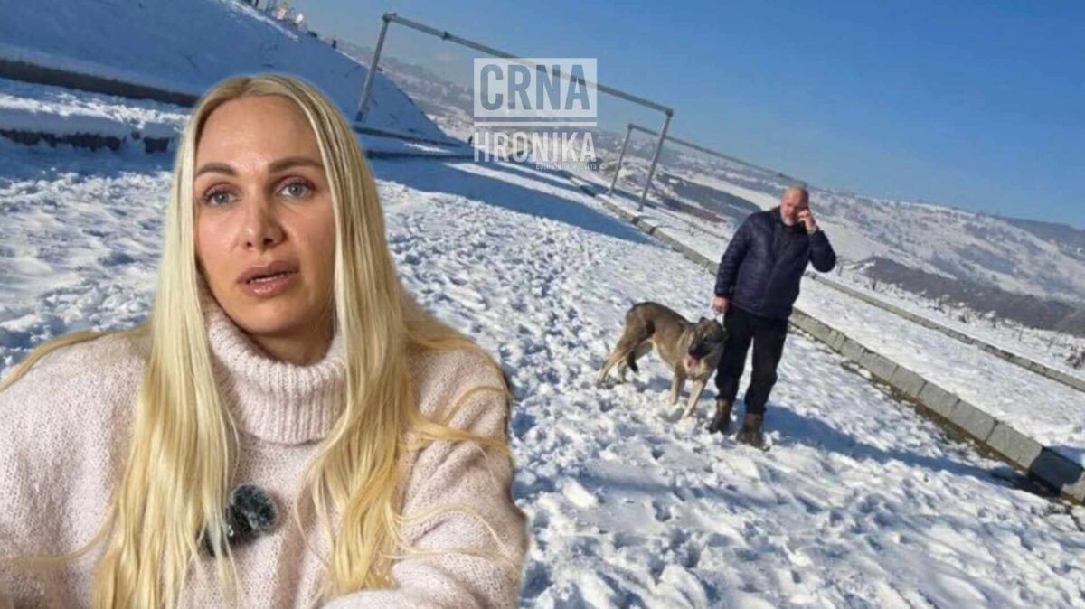 Odlučno tvrdi, da je nije pustio s namjerom da pse povrijedi, niti bi takvo nesto ikada napravio.