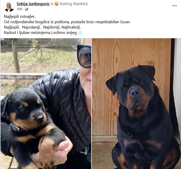 Pas je najveći čovjekov prijatelj", "Više volim pse od nekih ljudi", "Pravi prijatelj", "Nema boljeg psa od rotvajlera