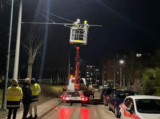 Obnova ove trolejbuske mreže počela je sredinom marta prošle godine