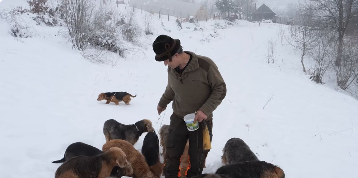 Na ovom prostranom imanju, pažljivo osmišljenom kako bi osiguralo optimalne uslove za razvoj prirodnih instinkata pasa, Mišo trenira svoje ljubimce i brine o njihovoj dobrobiti