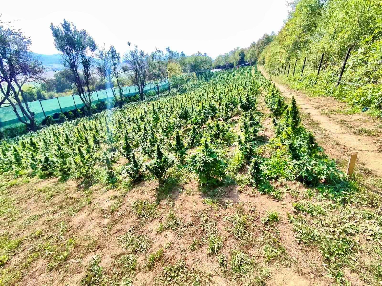 Tužilaštvo je za sve optužene predložilo produženje pritvora nakon potvrđivanja optužnice