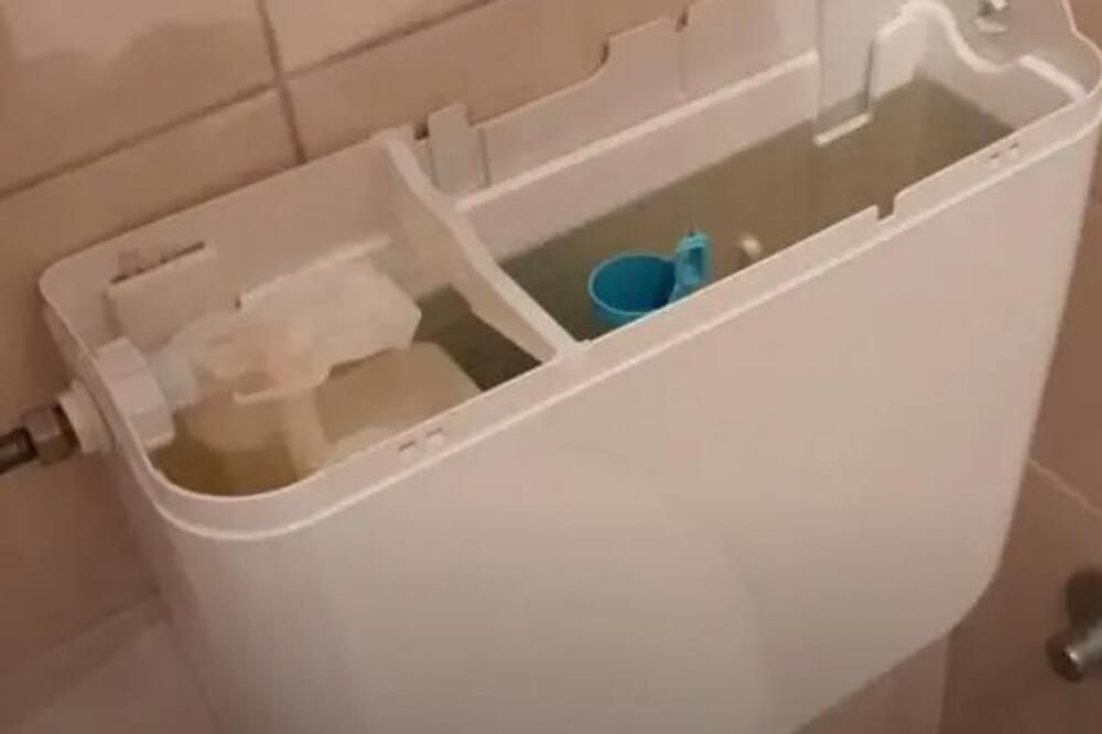 On je istakao da je u tom trenutku zmija bila jako uplašena, zbog cijele frke koja se dešavala.