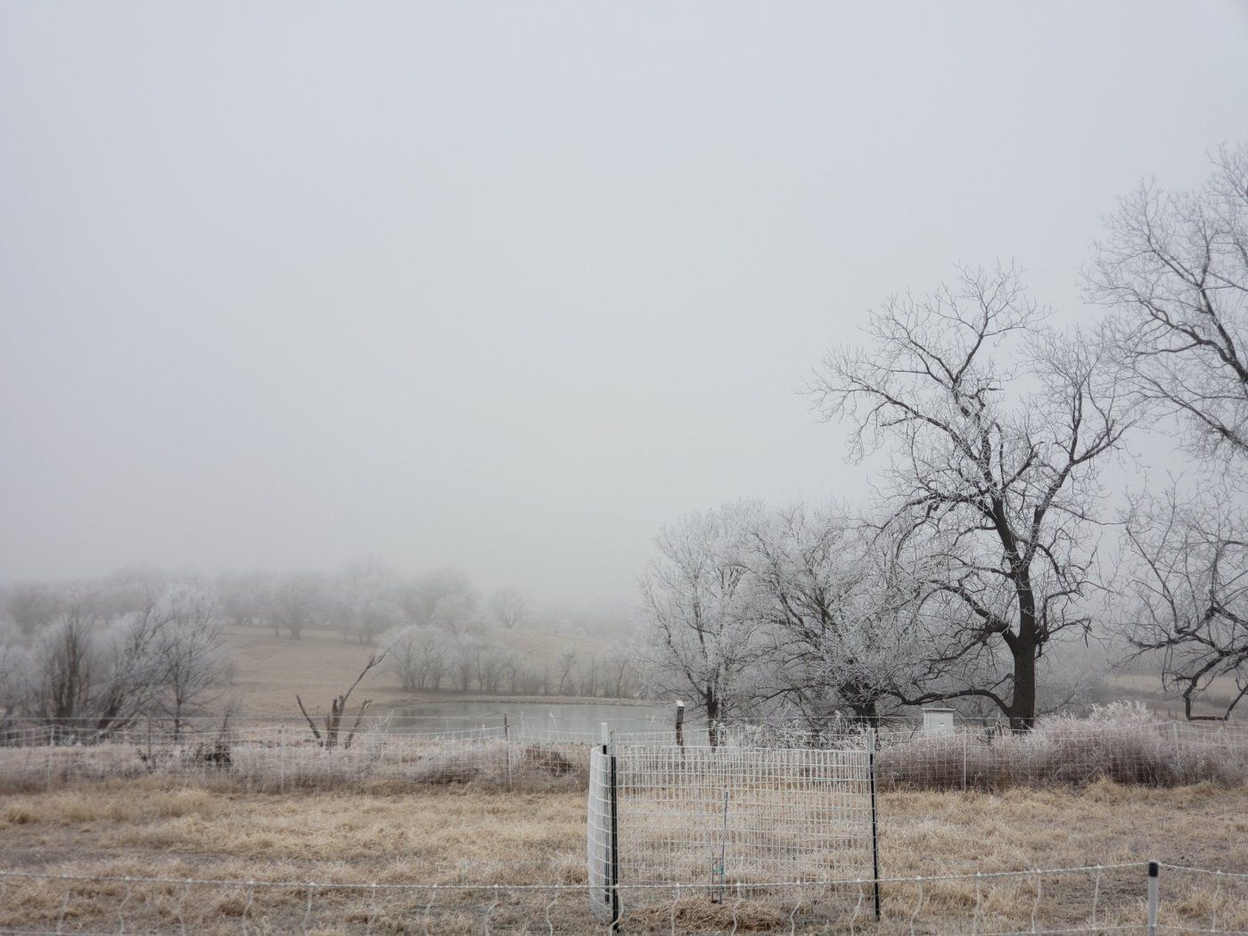 Kako sedmica bude odmicala suho i uz sve više sunčanih intervala. Izuzetak pojedine kotline i niži krajevi Bosne uz dugotrajno zadržavanje magle.