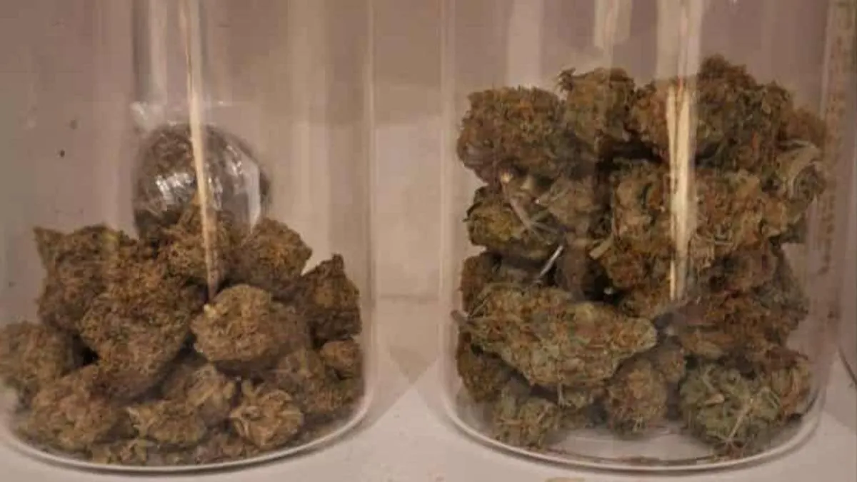 Kako Hayat.ba nezvanično saznaje, u akciji je uhapšena još jedna osoba kod koje je pronađena droga. 