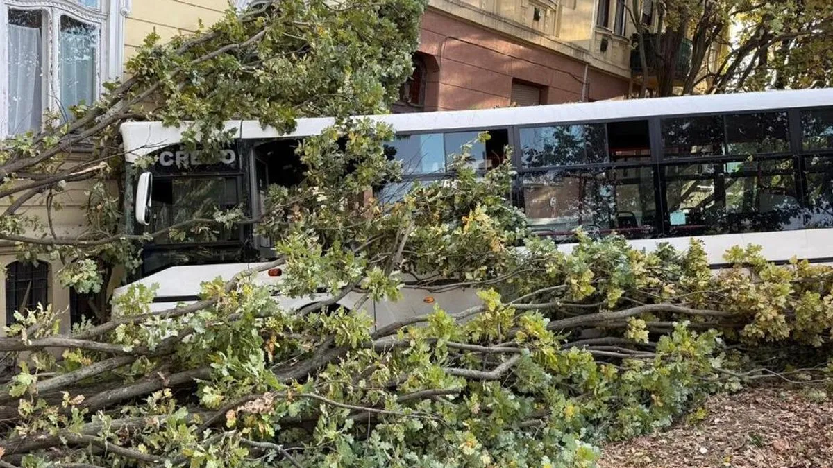 Na lice mjesta su odmah upućeni spasilački helikopteri i brojna ambulantna vozila.