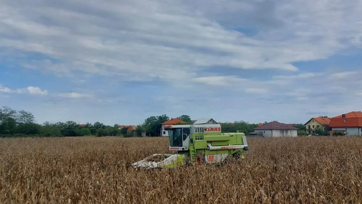 Dok se završava žetva kukuruza, u Medžlisu Bijeljina već se pripremaju za jesenju sjetvu pšenice i ječma