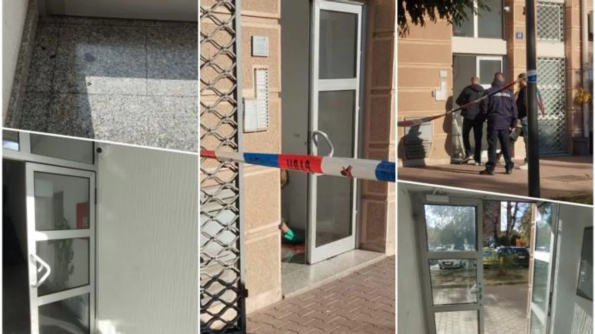 Novorođenče je prije sedam dana pronađeno nasred ulice u Novom Sadu, kada se ispostavilo da je dijete mrtvo i da ga je ubila majka M.K.