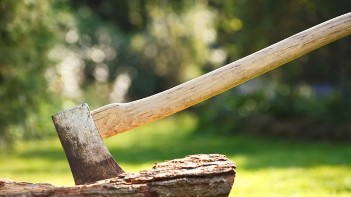 Njega su pripadnici Policijske uprave Doboj uhapsili 10. novembra, zbog sumnje da je izvršilo krivično djelo teško ubistvo, prenose Nezavisne.