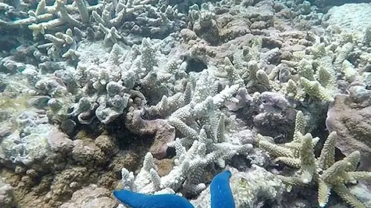 Naučnici tvrde: Prva katastrofalna prekretnica na Zemlji zbog globalnog zagrijavanja