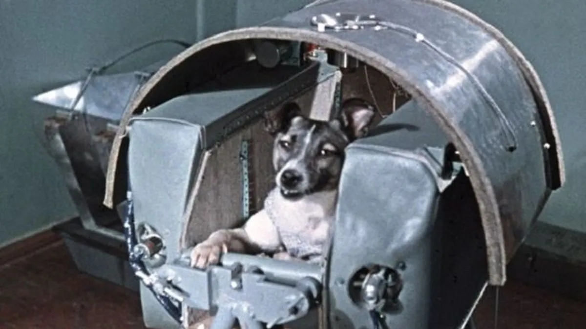 Događaji koji su zauvijek promijenili tok historije: Mali korak za čovjeka, veliki za čovječanstvo