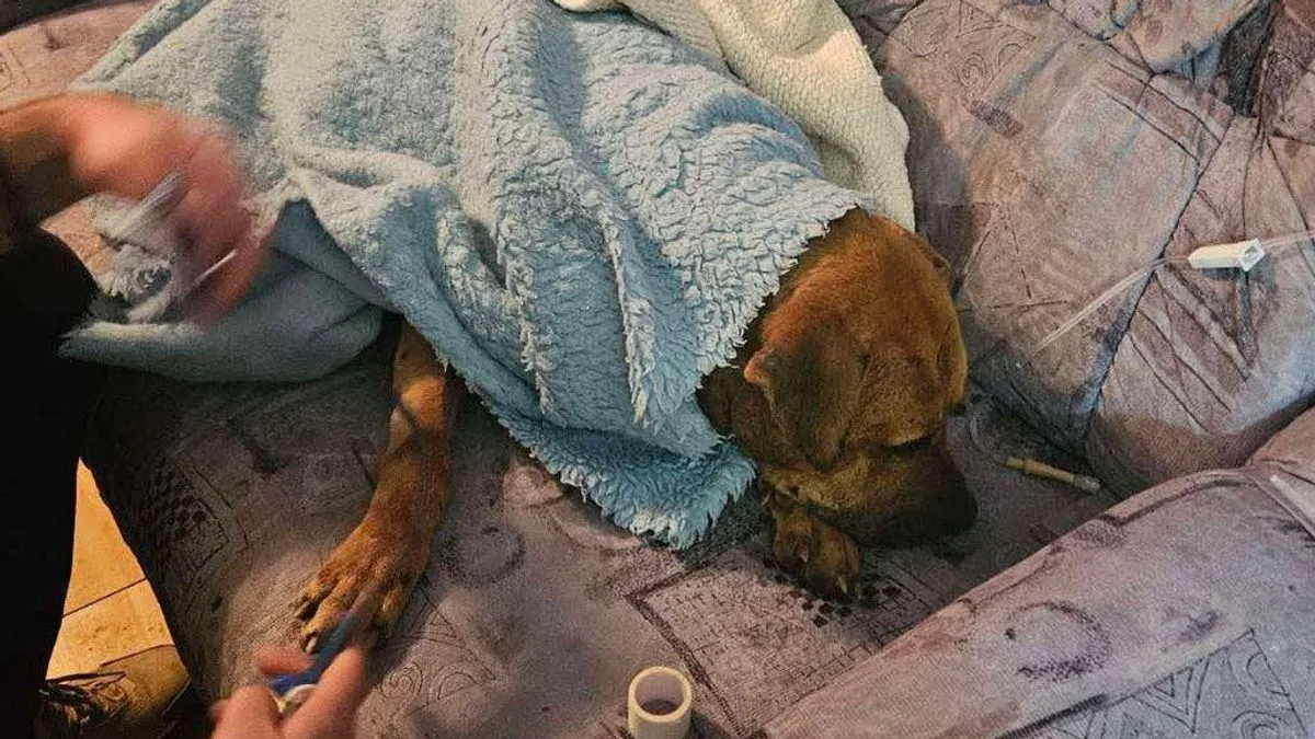 Policijski službenici su saslušali 70 lica u svojstvu svjedoka, dok je 14 lica lišeno slobode.