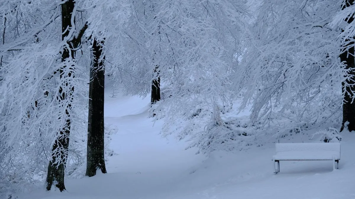 Objavljena velika prognoza za zimu: Evo šta se sprema Evropi