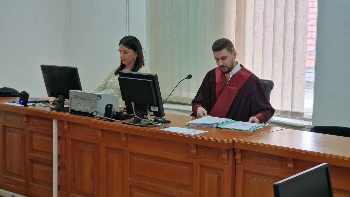 Tužitelj jasno navodi da su izjave Konakoviće bile neistinite, te da nije iznio niti jedan dokaz u korist svoje odbrane