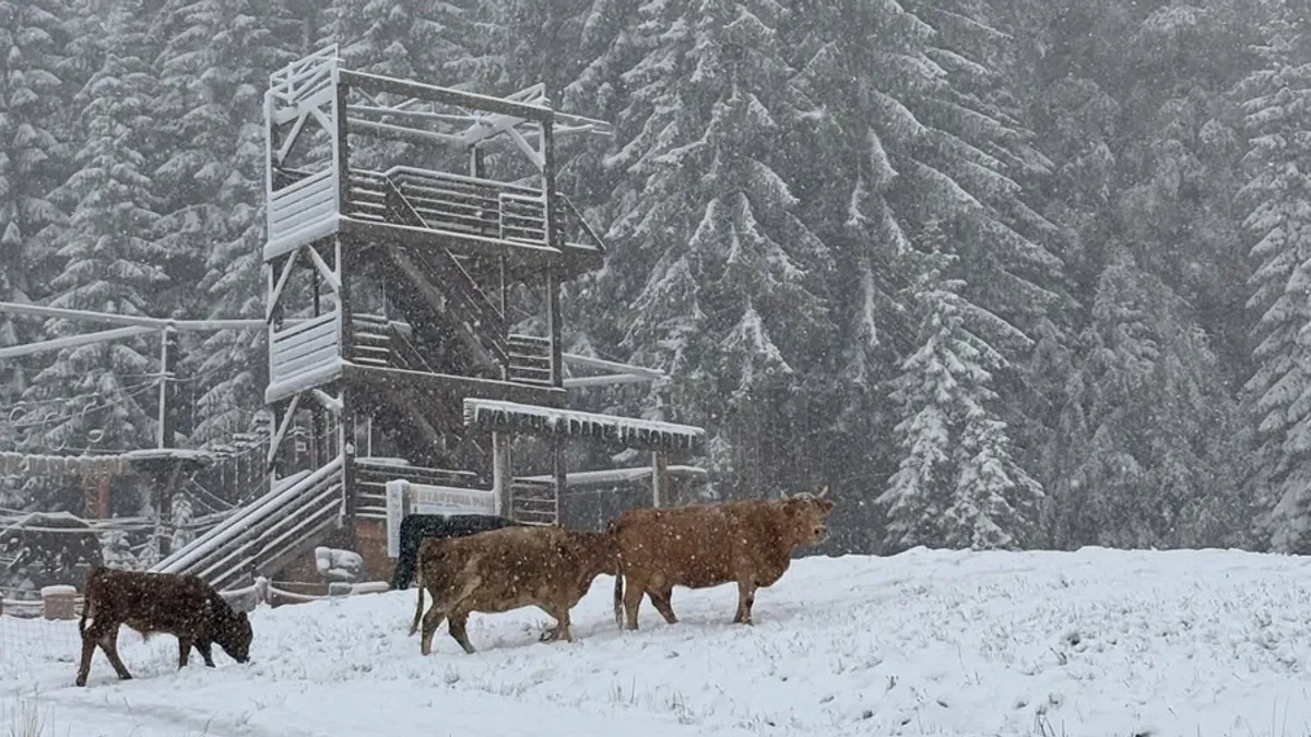 Rani snježni pokrivač: Prava zimska bajka na bh. planinama