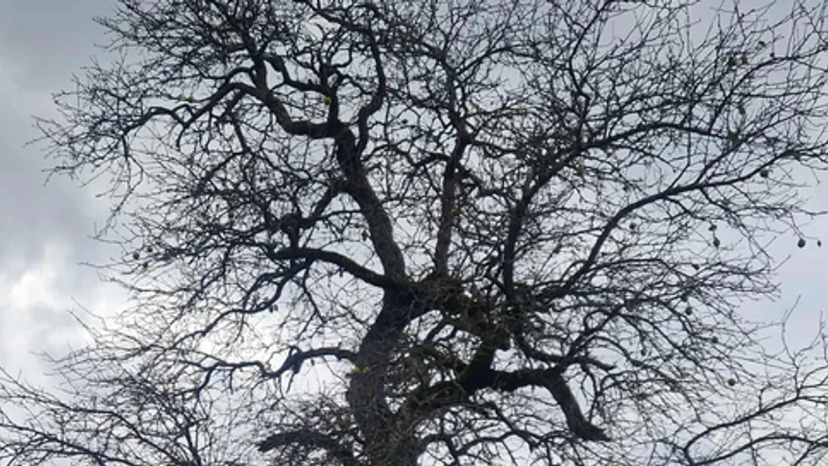 Zaputili smo se u zaseok Vrapci, kod sela Knežina na Romaniji.