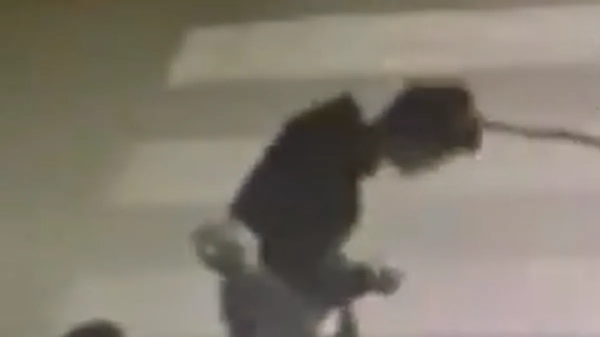 Na snimku se vidi kako jedan od osumnjičenih drvenim štapom udara maloljetnika u glavu, nakon čega dječak pada i ostaje nepomično da leži bez svijesti