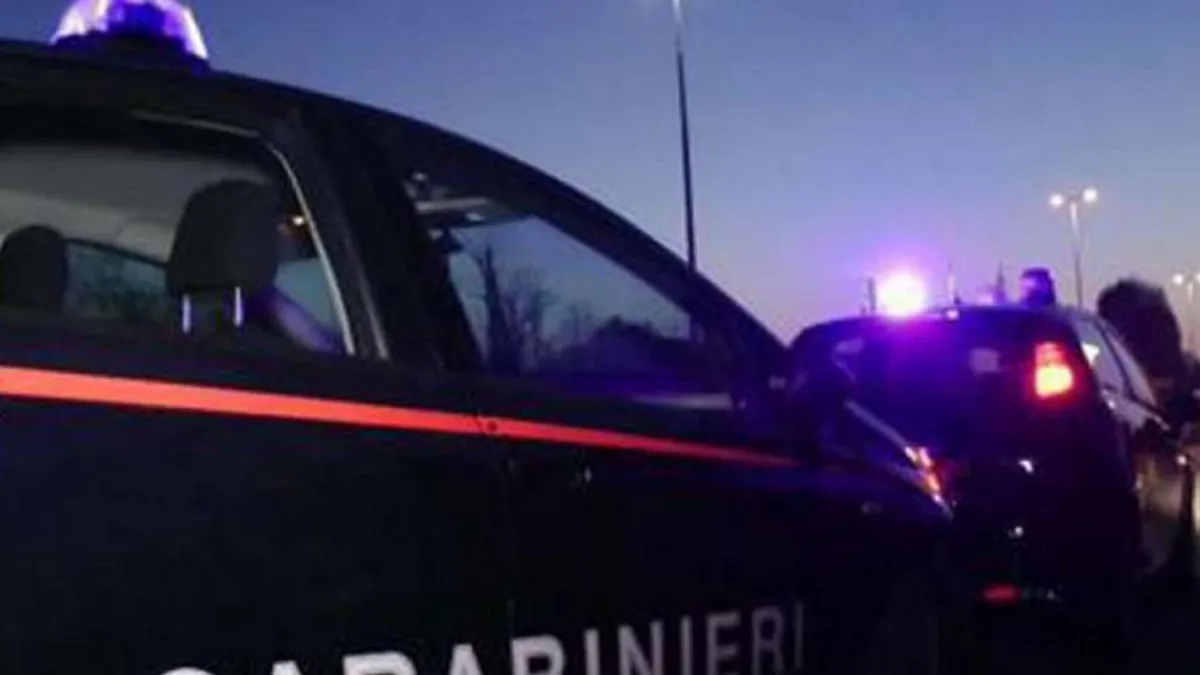 Xausa i Gemo su dvadeseti rođendan proslavili prije samo nekoliko dana