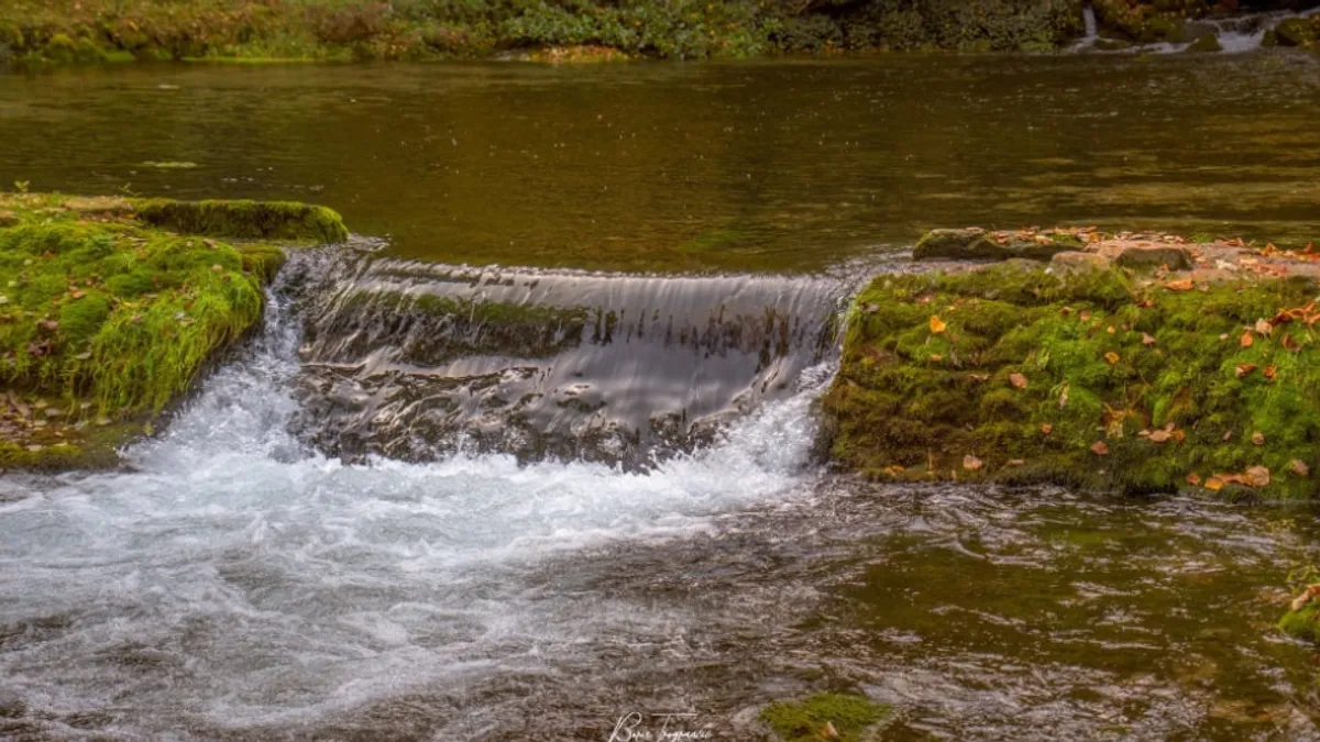 Neponovljivo iskustvo! Uronite u čaroliju Vrela Bosne: Jesenje boje, mir i savršena priroda