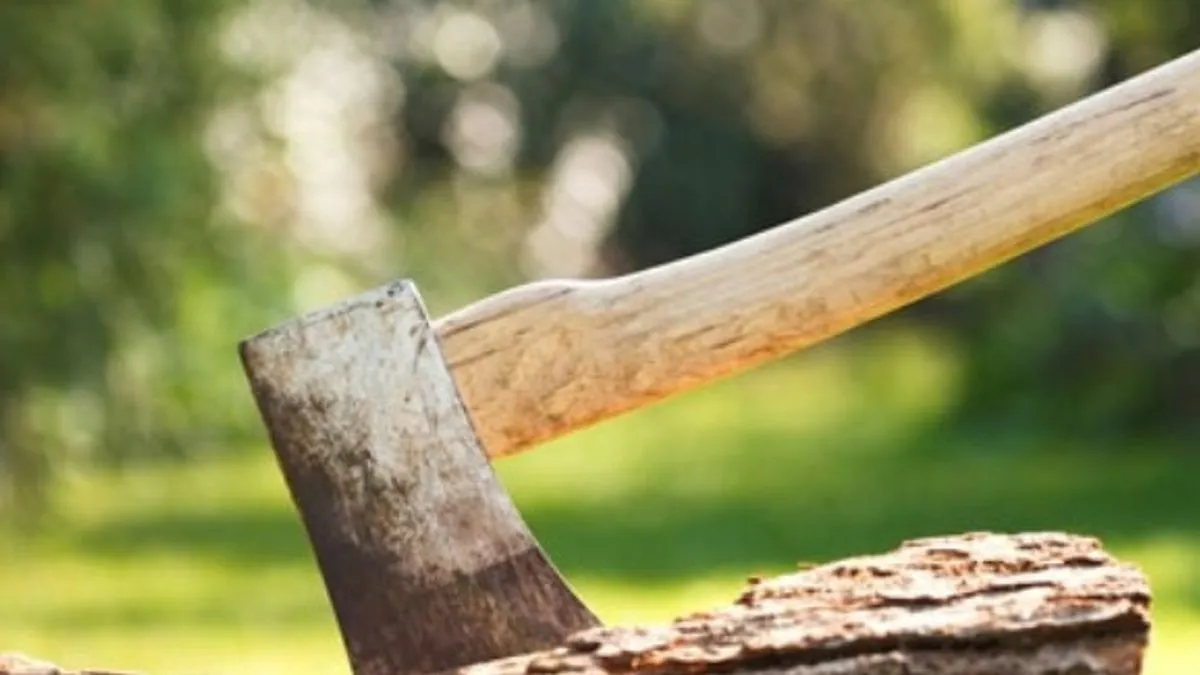 Tokom sukoba, G. Lj. je čekićem nasrnuo na komšiju Z. M., nakon čega su se u tuču umiješali i njihovi sinovi