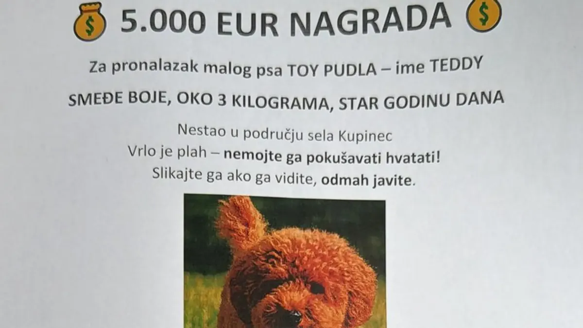 Bratu Mate Rimca nestao pas: Digli smo i dronove, nudimo 5.000 eura za informaciju!