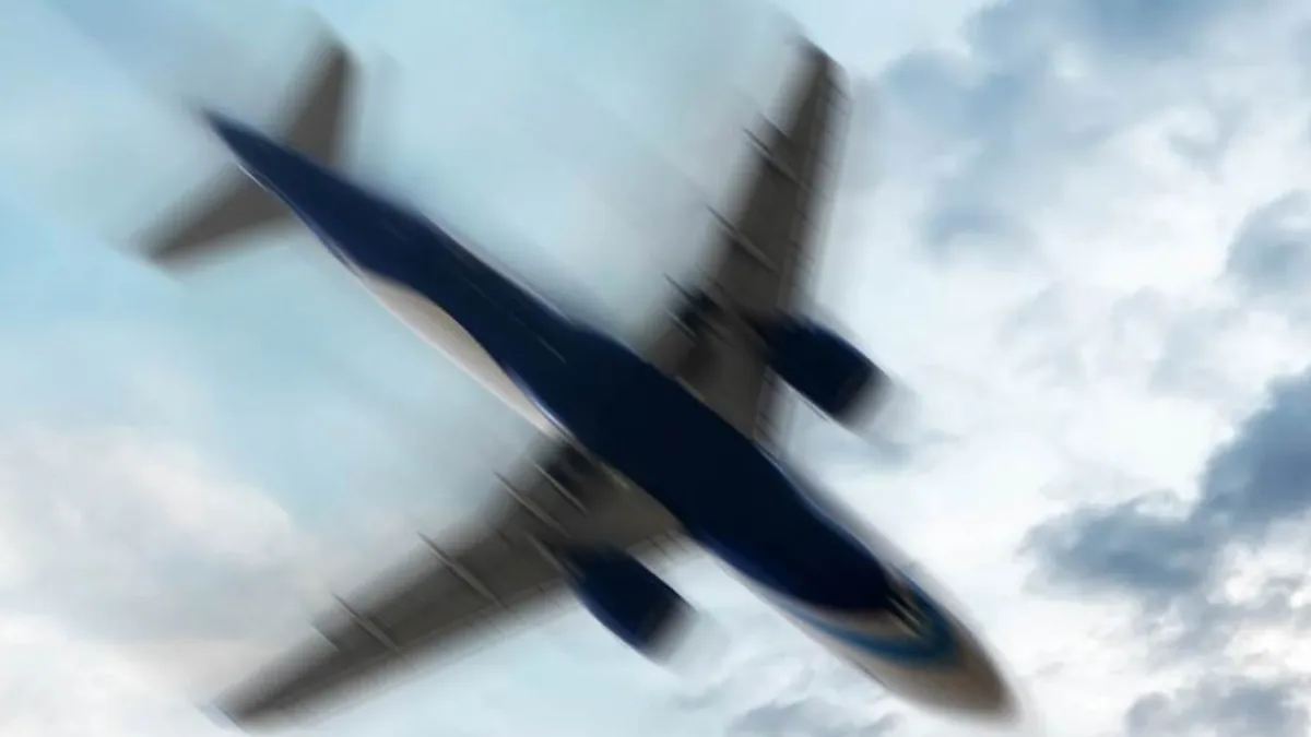 Preliminarni podaci pokazali kako je let prevozio 10 turista, osam iz Mađarske i dvoje iz Njemačke, te jednog kenijskog člana posade