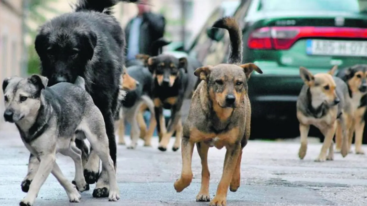 Maloljetno lice je u Urgentnom centru i ostat će do ujutro na posmatranju, kazali su nam iz policije