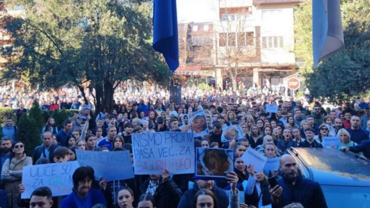 Građani svakodnevno strahuju od napada čopora koji su preplavili sva goraždanska naselja, a posljednji slučaj napada ih je dodatno uznemirio