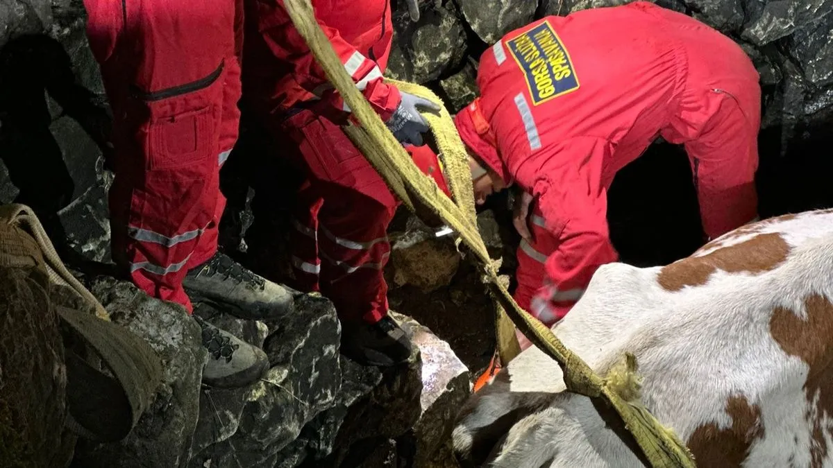 Dramatična akcija: Zamijenio auto za kravu, pa je morao spašavati iz bunara!